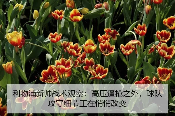 利物浦新帅战术观察：高压逼抢之外，球队攻守细节正在悄悄改变